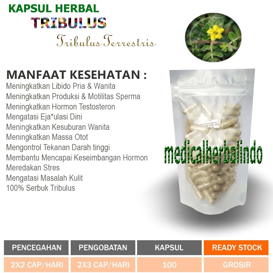 Kapsul Curah Herbal TRIBULUS Aphrodisiac Stamina  100 capsul