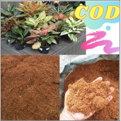Cocopeat Alas Reptil Serbuk Kering Halus