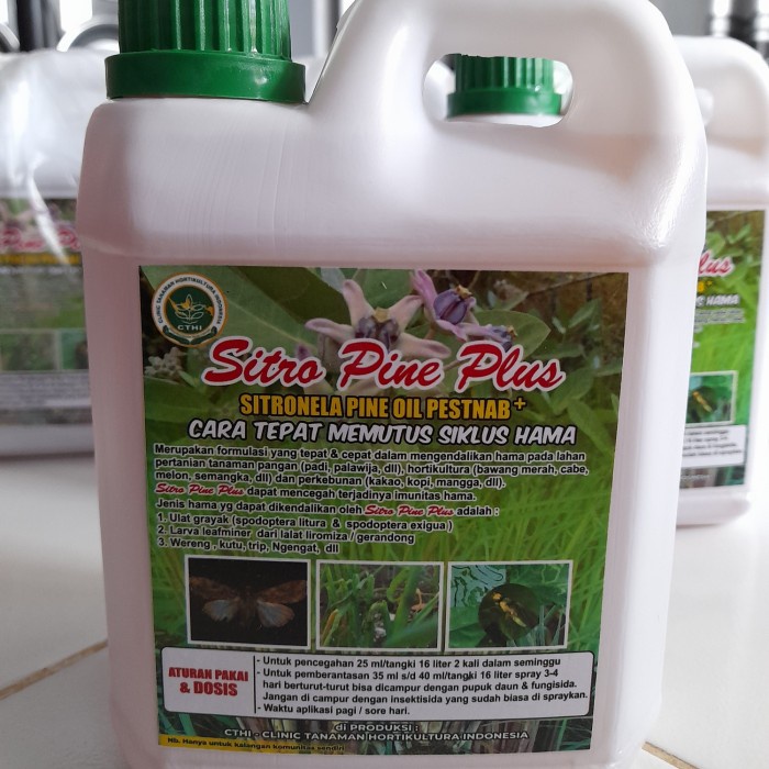 Sitro Pine Plus CTHI 1L (Home Industri)