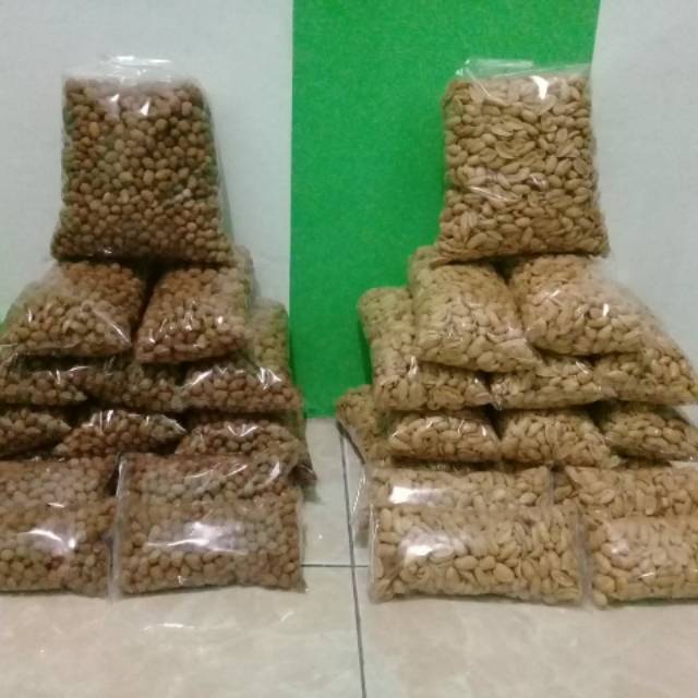 

Kacang bawang murah
