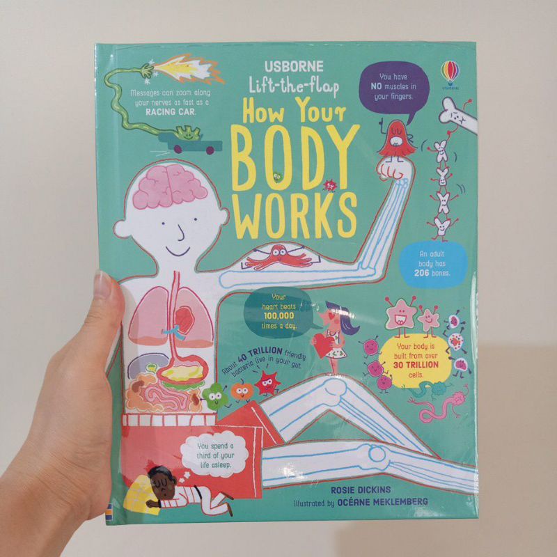 Usborne lift the flap How your body works