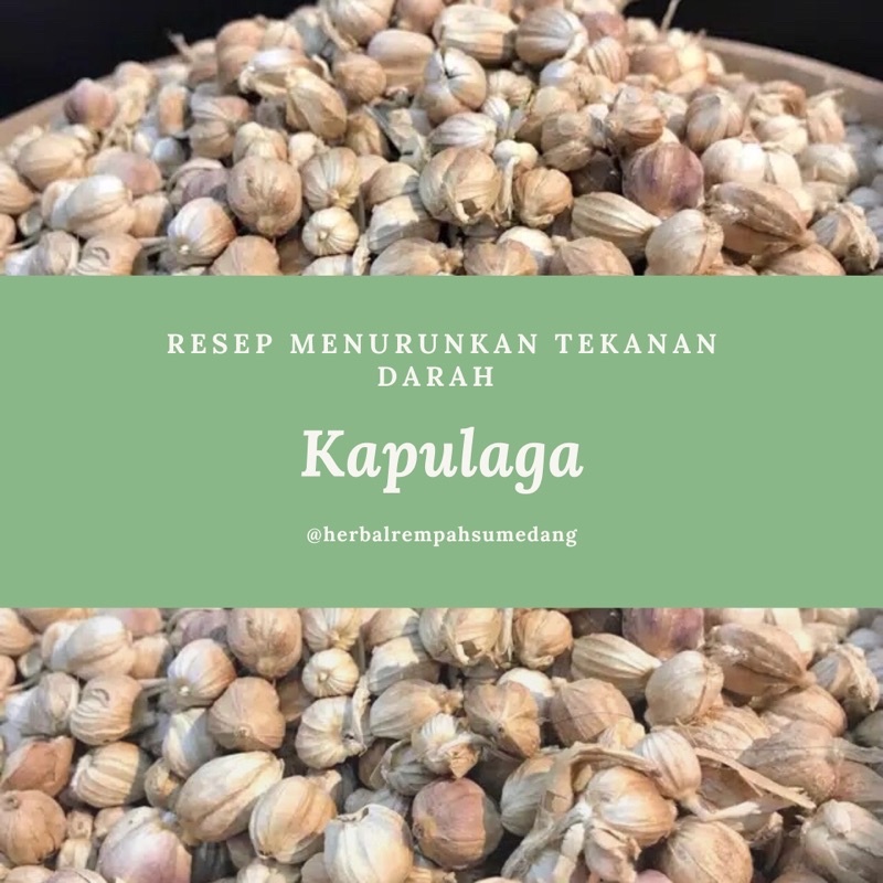 

Kapulaga 50gr