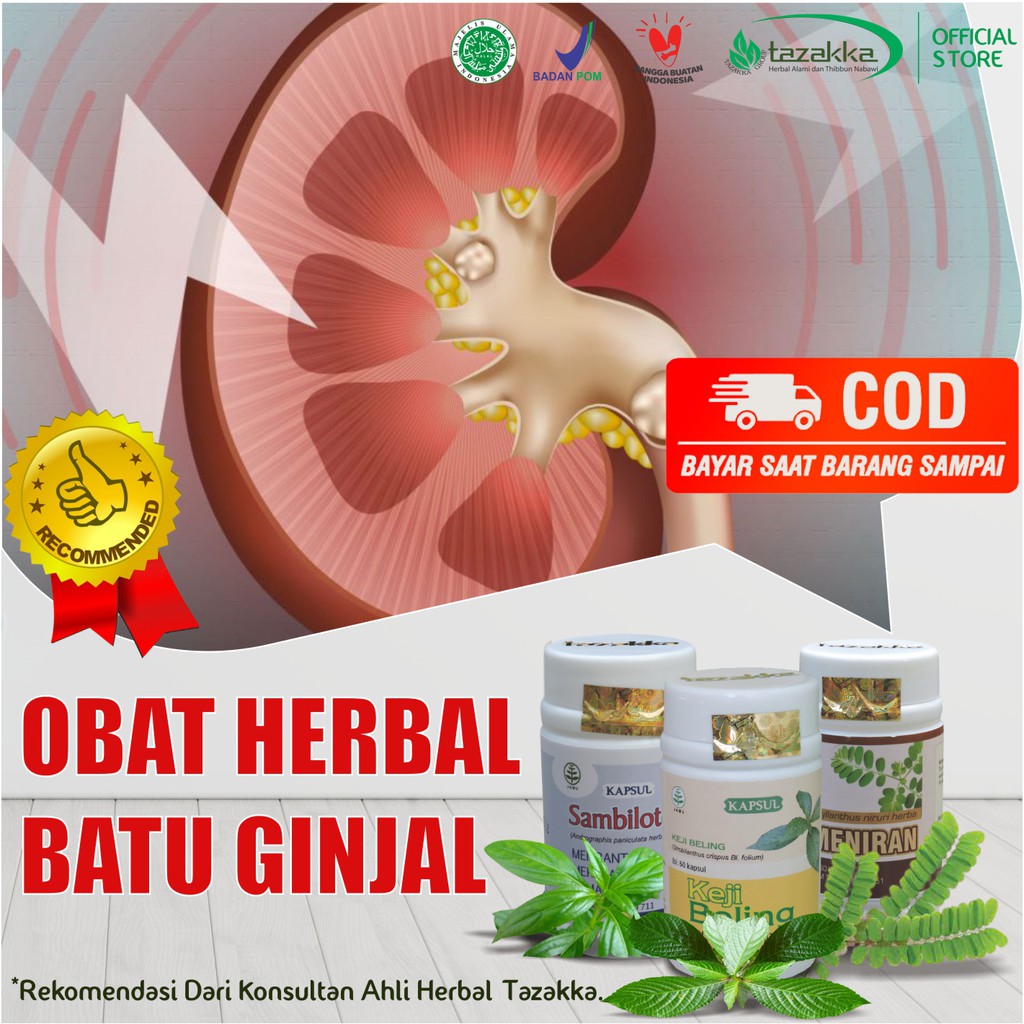 Jual Obat Penghancur Batu Ginjal Alami Daun Keji Beling Meniran Daun Sambiloto Paket Herbal