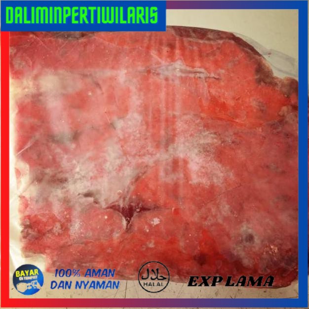 

( BISA COD ) Paru sapi KOMPLIT [Kode 1|Kode 2|Kode 3|Kode 4|Kode 5|Kode 6|Kode 7|Kode 8|Kode 9|Kode