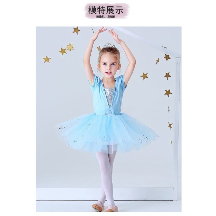 Baju Balet Kostum Balet Gaun Cinderella Ballet Costum Dress Princess -