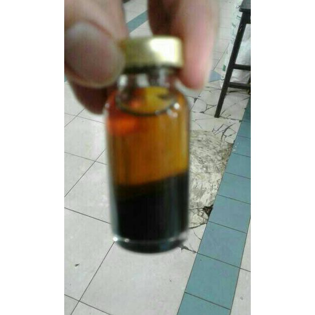 herbal minyak lintah asli kalimantan