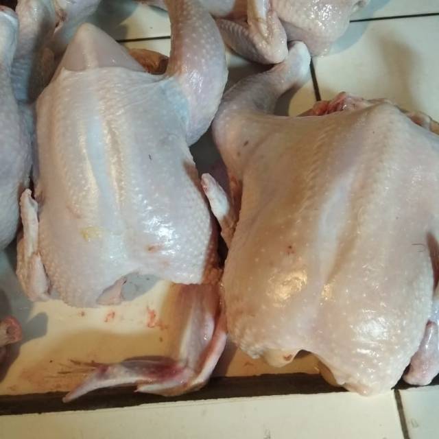 

AYAM UTUH POTONG