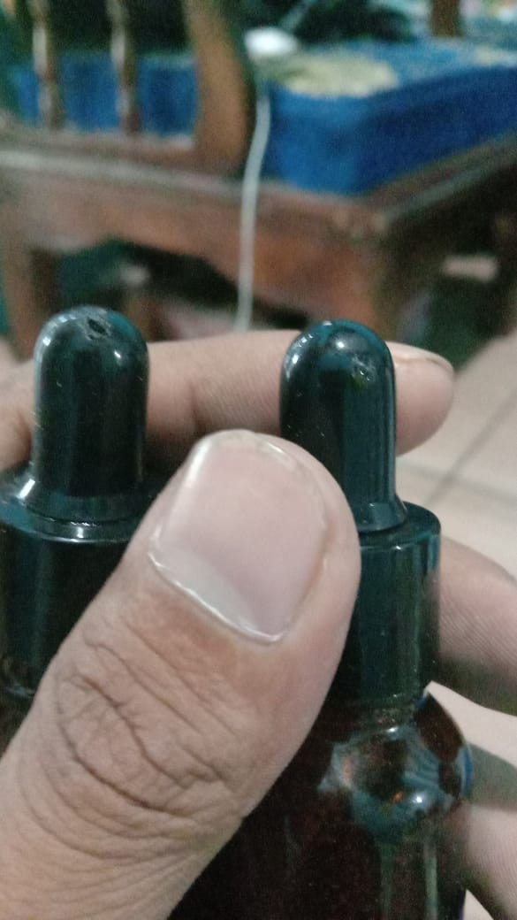 [minim 50pcs] Botol Pipet 15ml Kaca Coklat Ring Segel Obat Serum Essential Oil