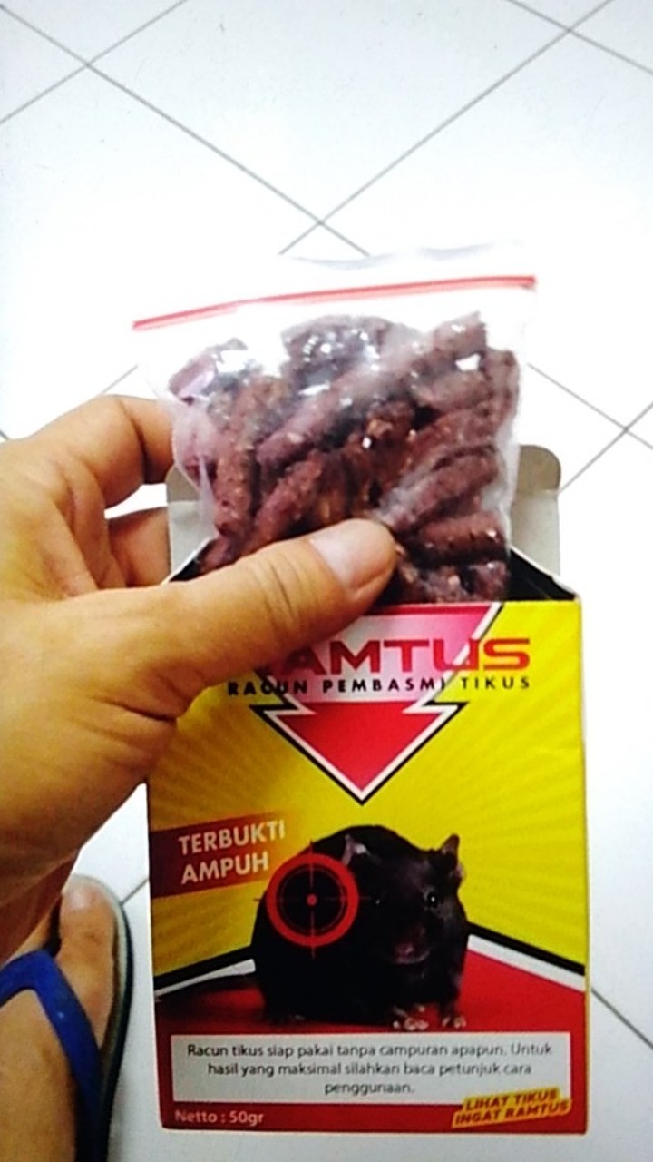 Racun Tikus Ramtus Asli Alami Mati Kering Tidak Bau Pembasmi Pengusir Tikus Super Paling Ampuh 3pack