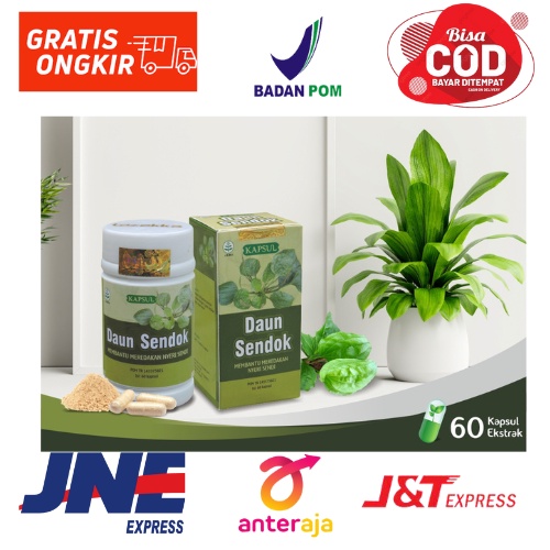 

herbal kapsul DAUN SENDOK tazakka mengobati ASAM URAT NTERI SENDI pegal linu rematik BPOM HALAL ORIGINAL