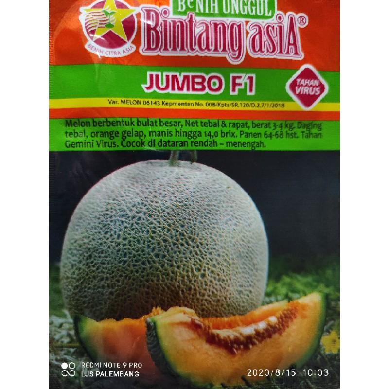 MELON JUMBO F1 20g