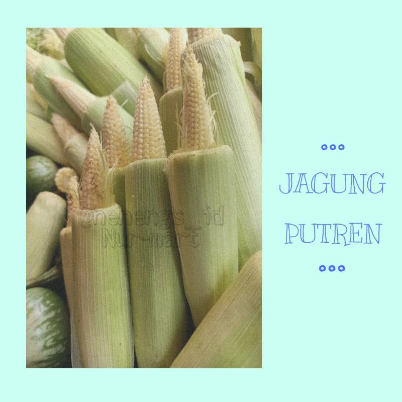 

[PASAR ONLINE] JAGUNG PUTREN / JAGUNG MUDA 250gram