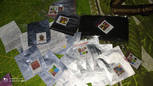 Benih Bibit Bunga Mawar Mixed 25 Warna (isi 50 Biji)