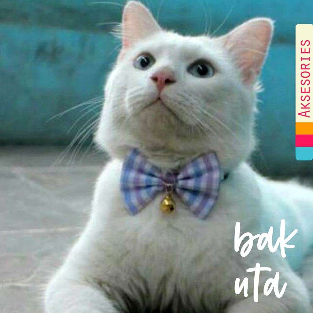 Dasi kupu-kupu lucu / baju kucing / bowtie kucing / dasi kucing