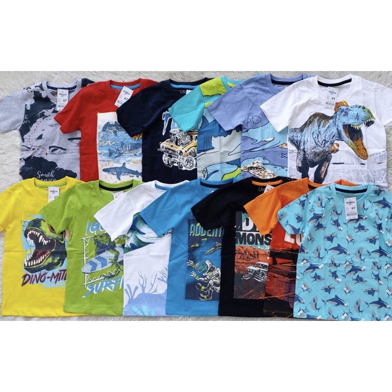 Kaos dino series anak dan remaja kaos cmt lokal premium kaos distro junior boy tees 6T-14T polkka
