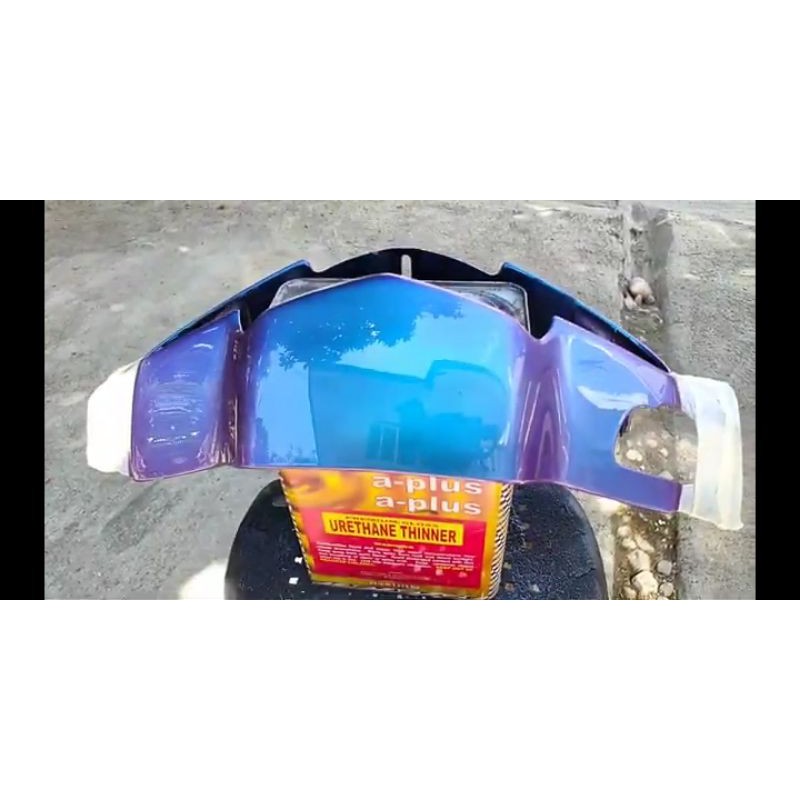 cat bunglon chameleon Expother