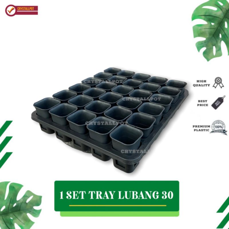 1 SET TRAY LUBANG 30 + POT NKT KOTAK 5CM HITAM 30 PCS | TRAY SEMAI BIBIT