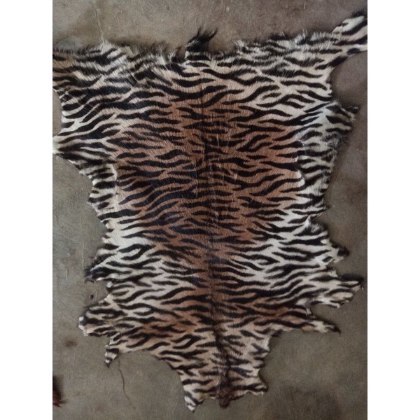 kulit kambing samak'an