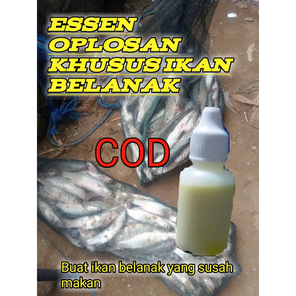 Essen oplosan ikan belanak