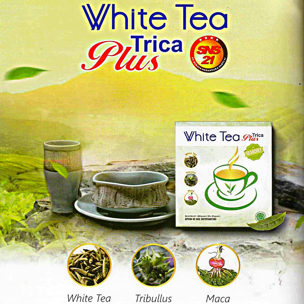 

Teh bubuk sachet White Tea diperkaya Tribullus Macca