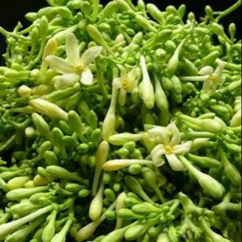 

[SAYUR EMAK] BUNGA PEPAYA 500 GRAM / SAYUR SEGAR