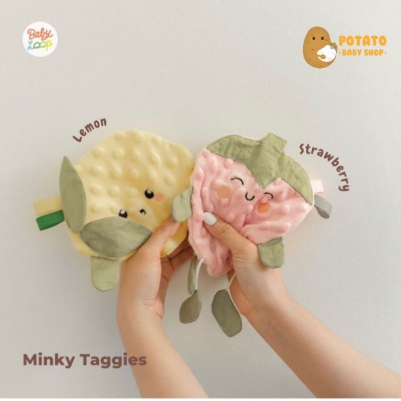 Babyloop Squeaker Minky taggies Carrot, Cactus, Eggplant &amp; Daisy Baby Loop