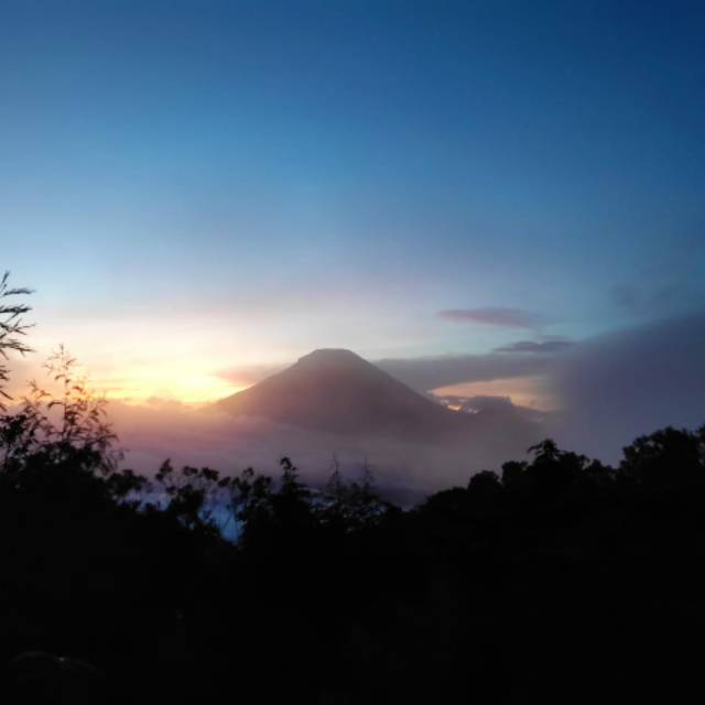 Pulsa transfer Telkomsel 1 juta