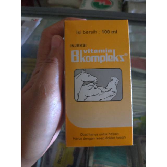 INJEKSI VITAMIN B KOMPLEKS B-Flex 20ml 50ML DAN 100ML