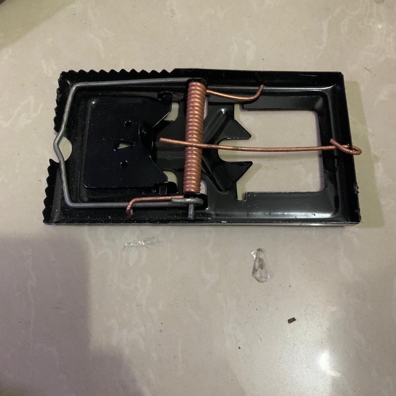 JEPIT TIKUS / JEPIT HAMA / JEPRETAN TIKUS SUPER MURAH!!! -KZK