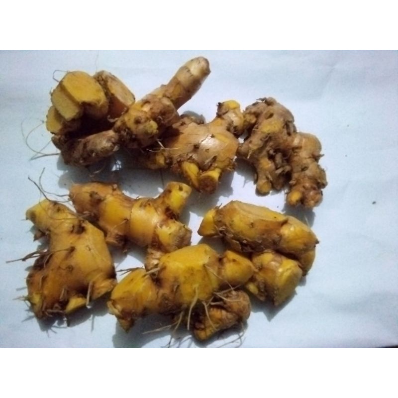 

bangle /panglay segar 1kg