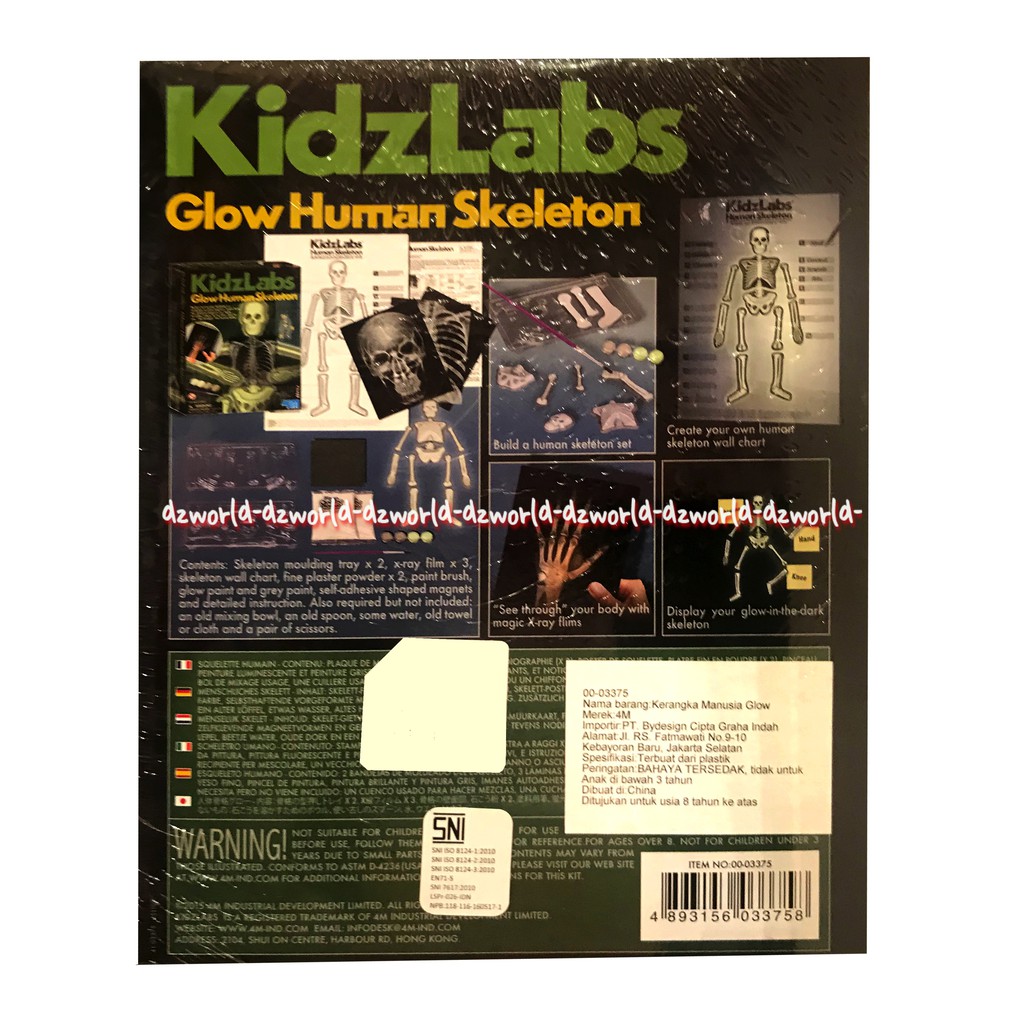 Kidzlabs Glow Human Skeleton mainan untuk merakit set kerangka manusia miniatur yang bersinar