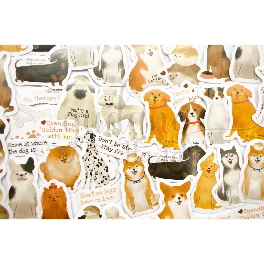 Stiker Dog And Quotes Deco Sticker Motif Anjing Unik DIY GH 303498