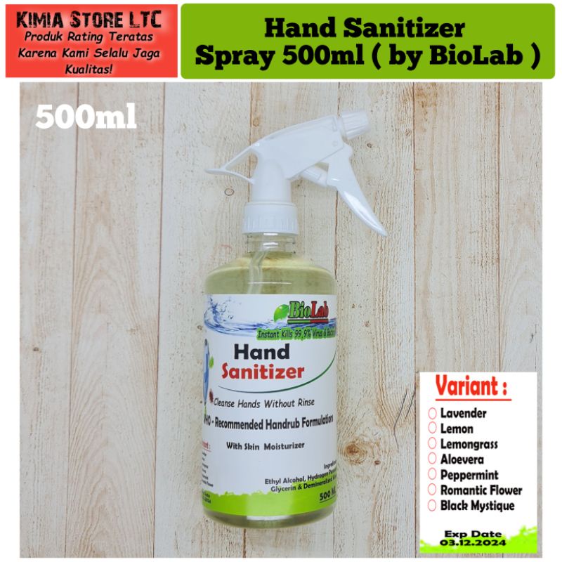 Hand Sanitizer Spray 500ml / Hand sanitizer 500ml