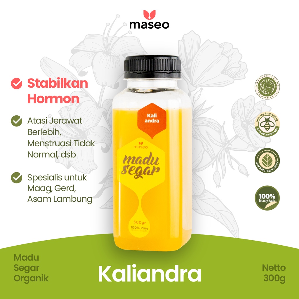 

Madu Murni Kaliandra Maseo 300gr Madu Asli Segar Organik 100% Alami Suplemen Stabilkan Hormon Obat Asam Lambung Maag Magh Gerd Jerawat Berlebih
