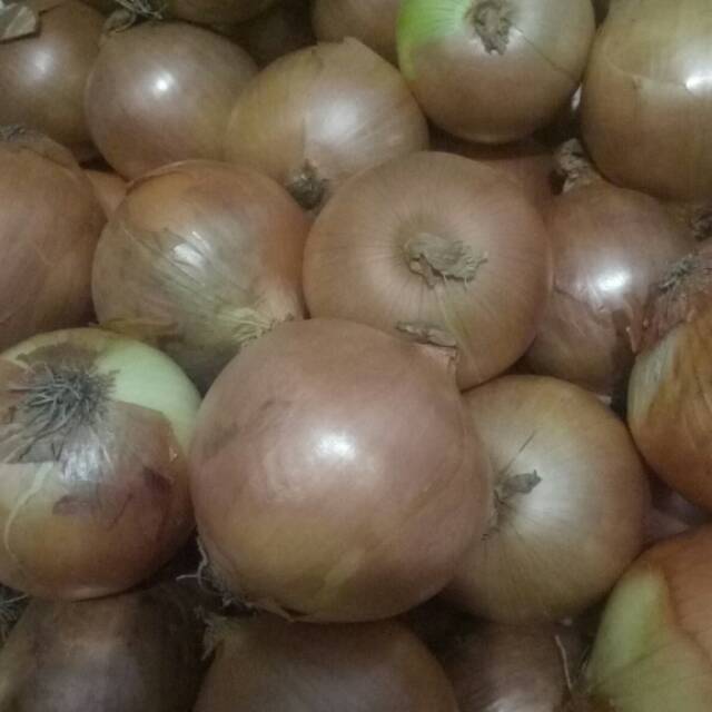 

Bawang bombay uk besar