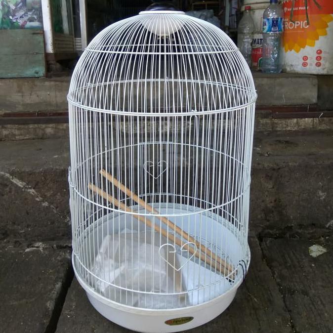 Ready Kandang Burung Sangkar Burung Lovebird Jalak Beo Nuri Ukuran