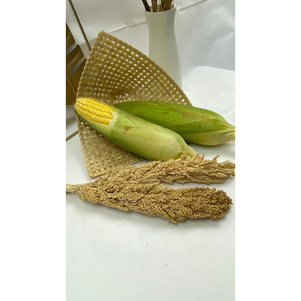 

jagung