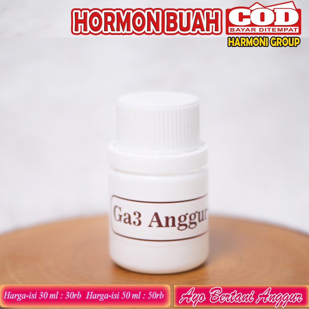 GA3 UNTUK TANAMAN ANGGUR IMPORT