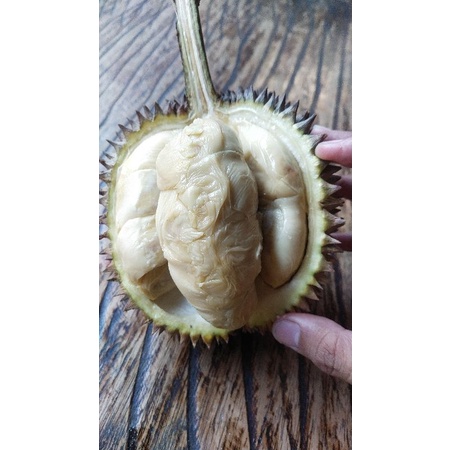 

pesanan untuk bu lilis