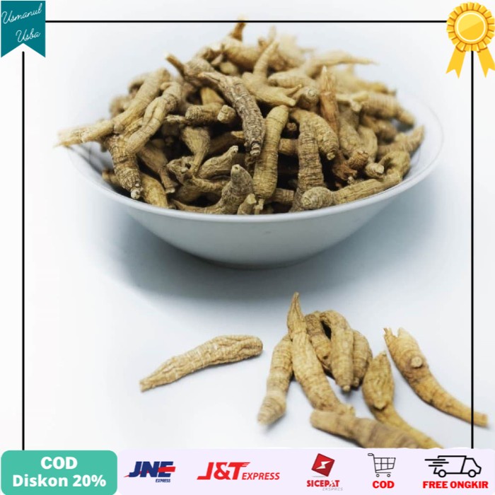 

◾COD◾ Wild American Ginseng (野四身长泡) , Yong Sem