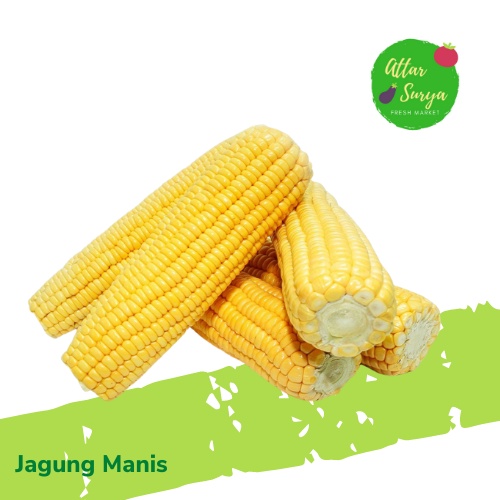 

Jagung Manis Segar - Fresh