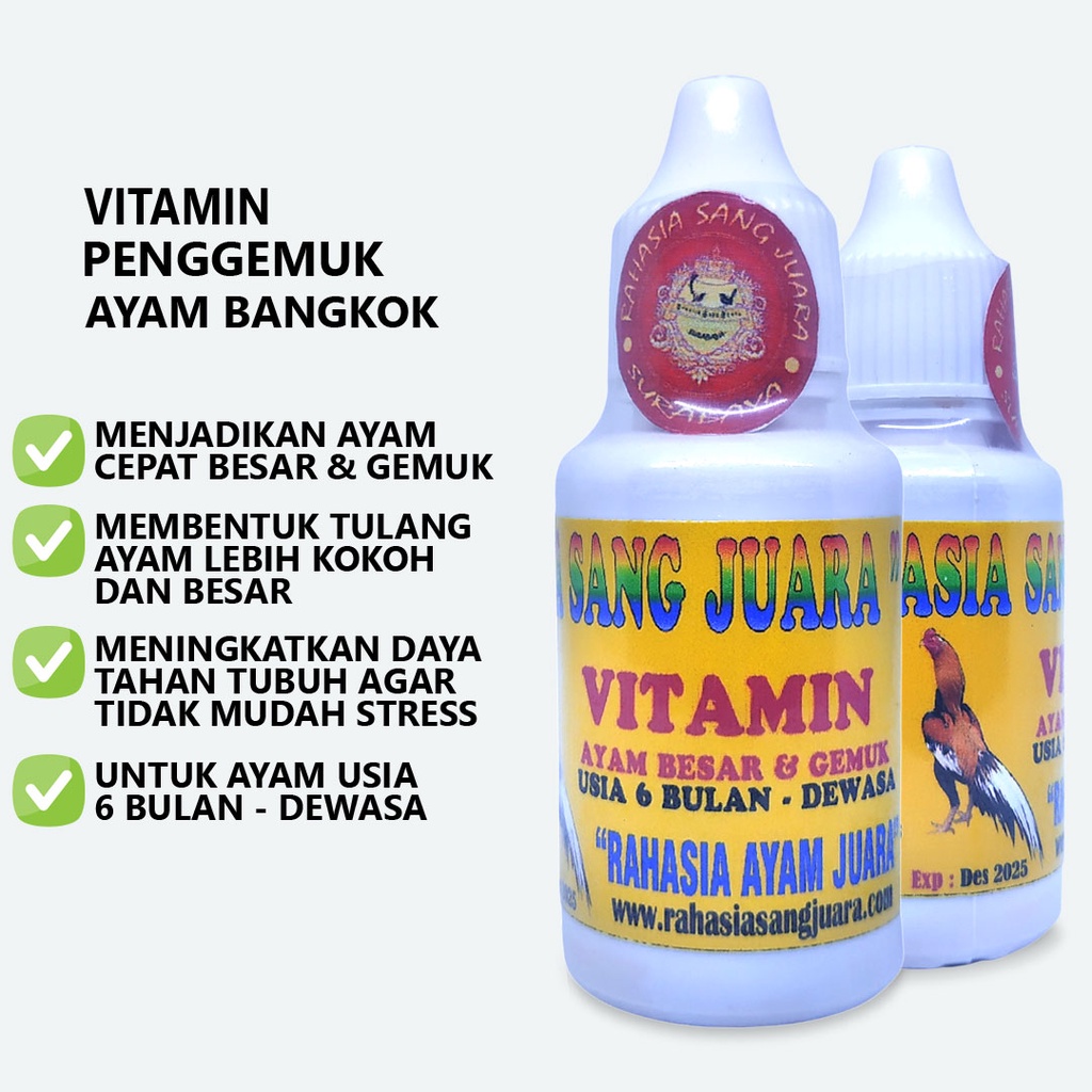 PENGGEMUK AYAM BANGKOK OBAT PENGGEMUK AYAM CEPAT BESAR DAN GEMUK UMUR 6 BULAN SAMPAI DEWASA