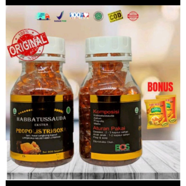 HABBATUSSAUDA EXTRA PROPOLIS TRIGONA ASLI BERKHASIAT