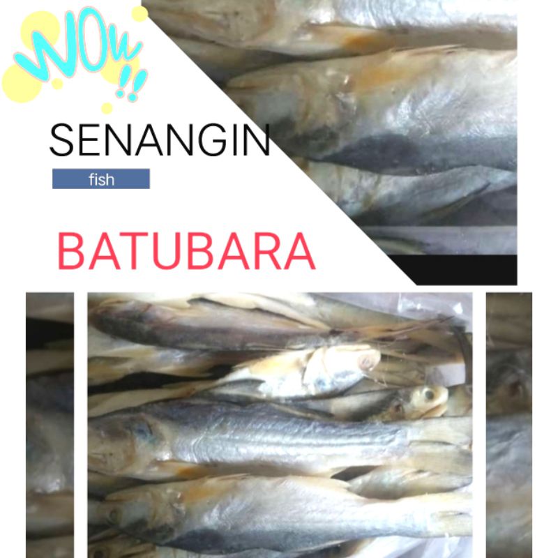 

IKAN ASIN SWNANGIN ASLI BATU BARA MEDAN, 1000gram