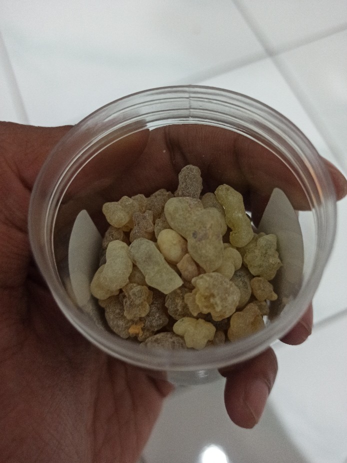 25g Premium Kemenyan Arab Luban Frankincense Boswellia Papyrifera