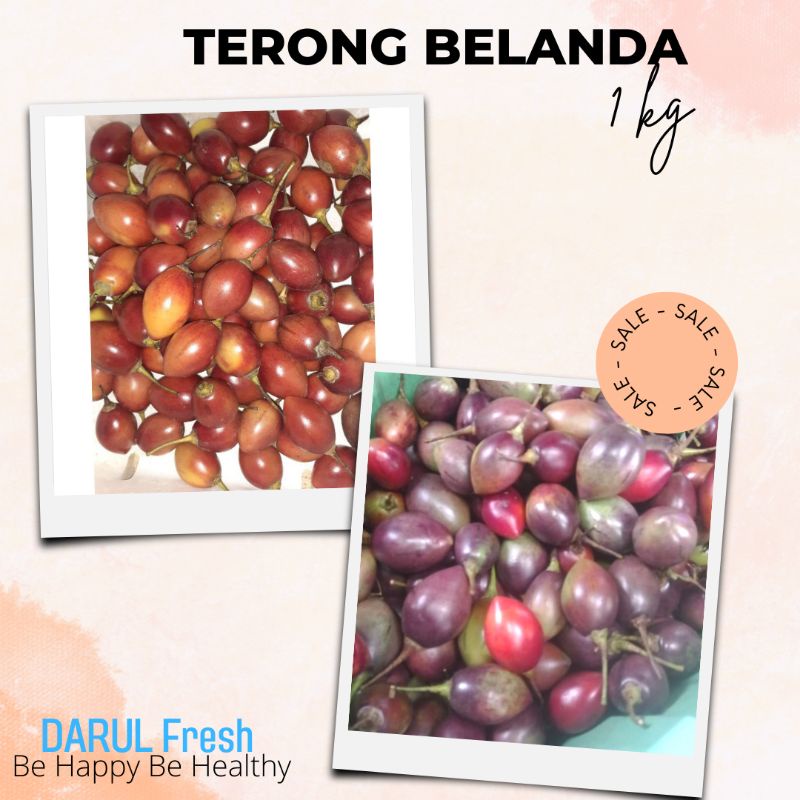 

Terong kori / terong belanda 1kg fresh