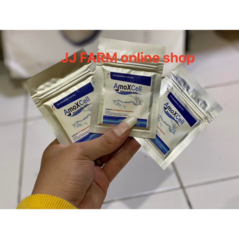 amoxcell amoxcel obat ikan antibiotik karantina ikan koi louhan ikan hias
