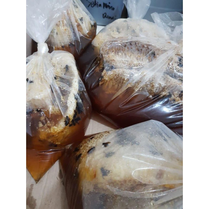 

Madu hutan dan Sarang madu hutan Sialang 650 gram