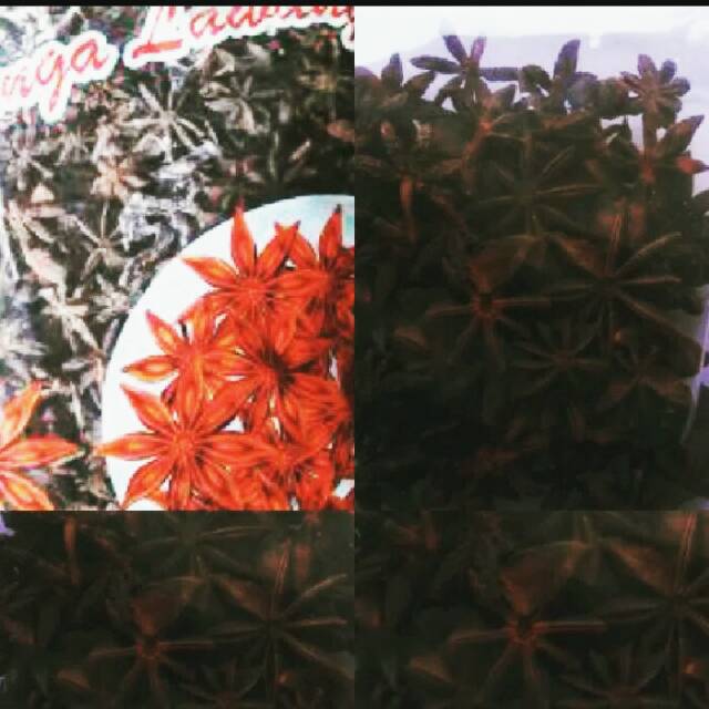 

Pekak / Bunga Lawang / Bungong Lawang 1 kg