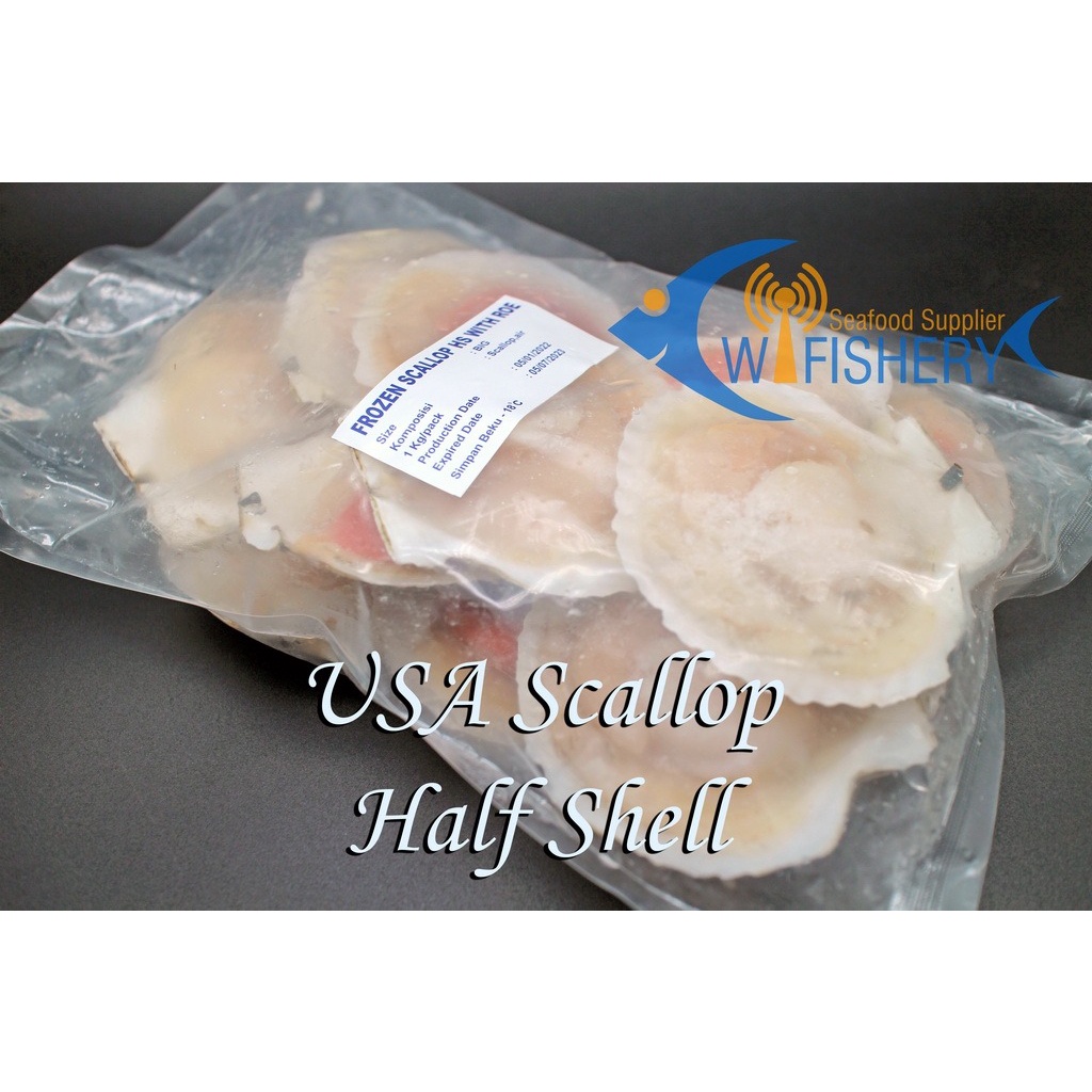 

Scallop Half Shell USA